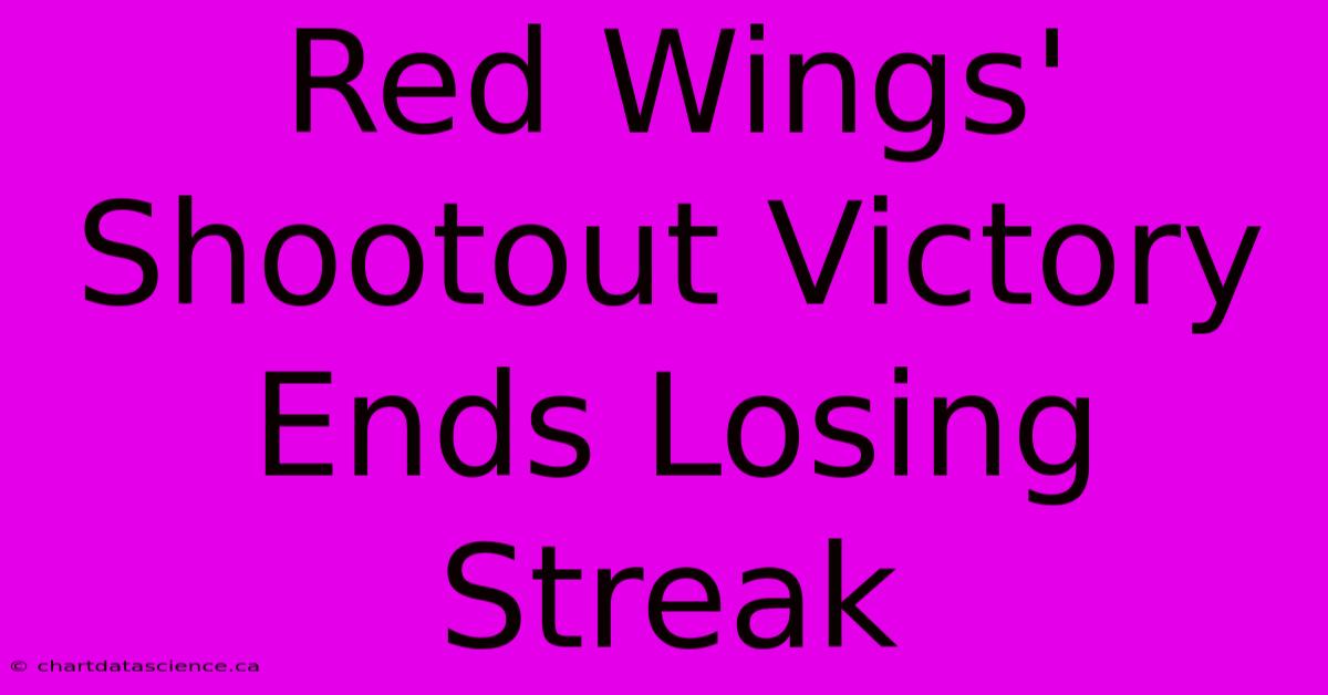 Red Wings' Shootout Victory Ends Losing Streak