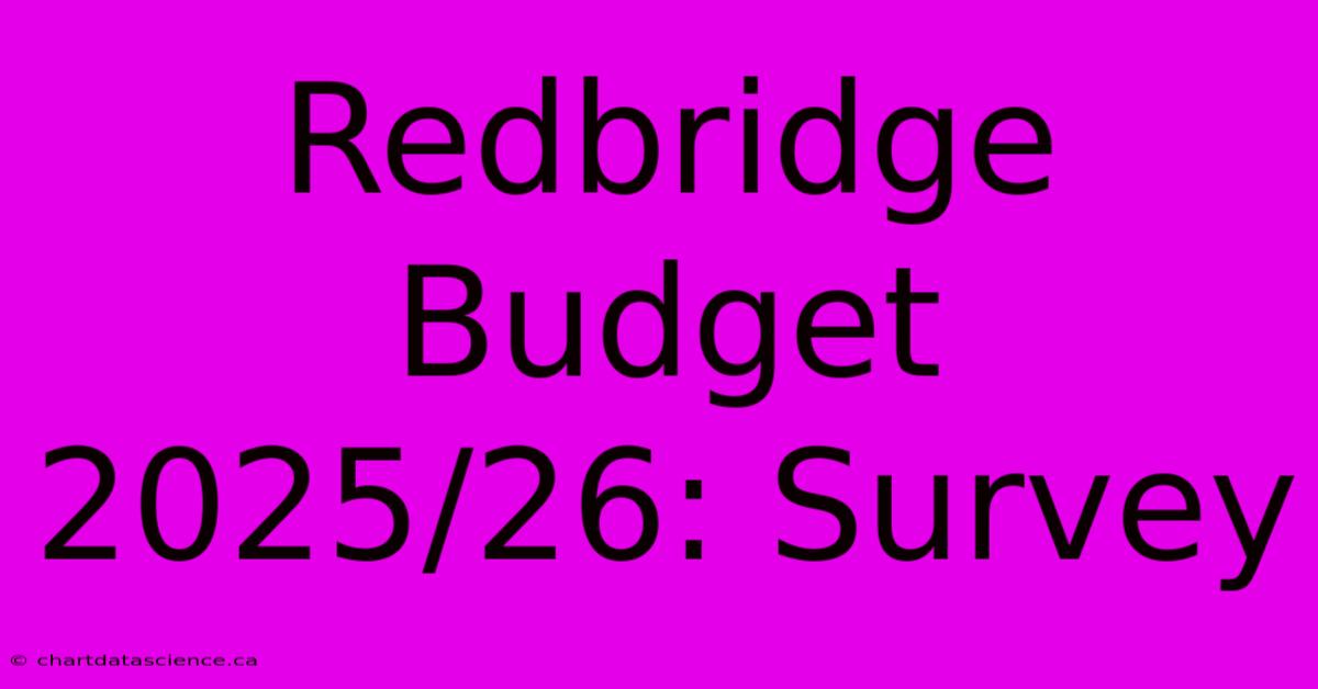 Redbridge Budget 2025/26: Survey