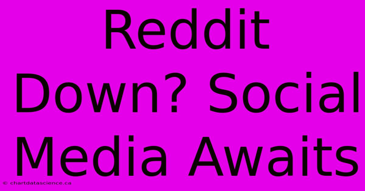 Reddit Down? Social Media Awaits