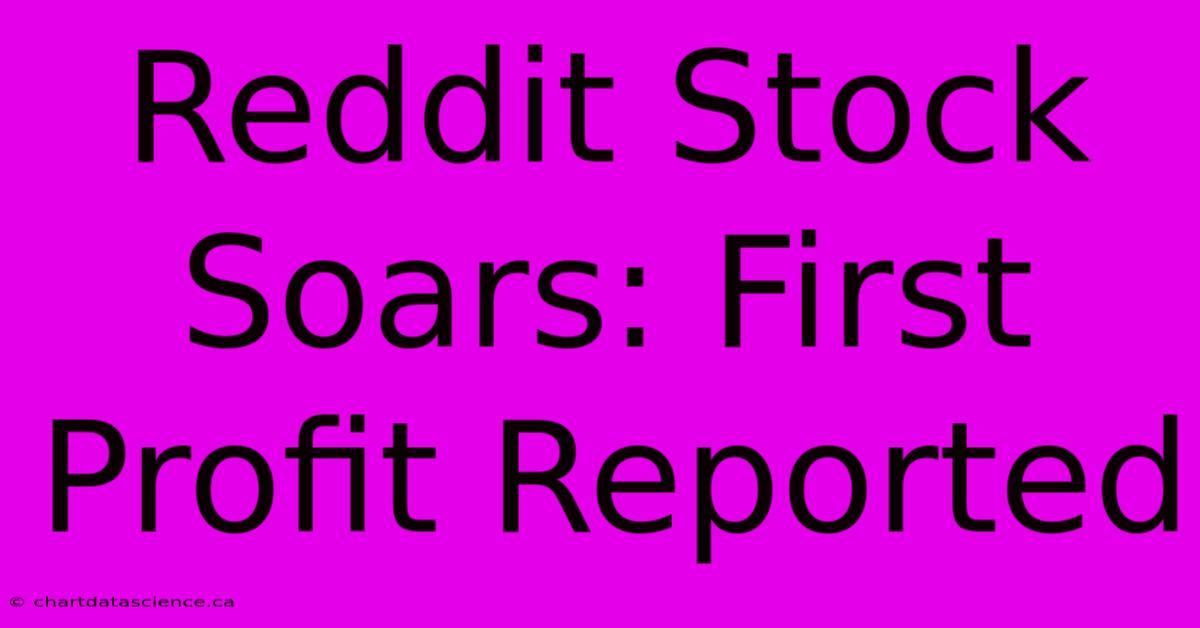 Reddit Stock Soars: First Profit Reported