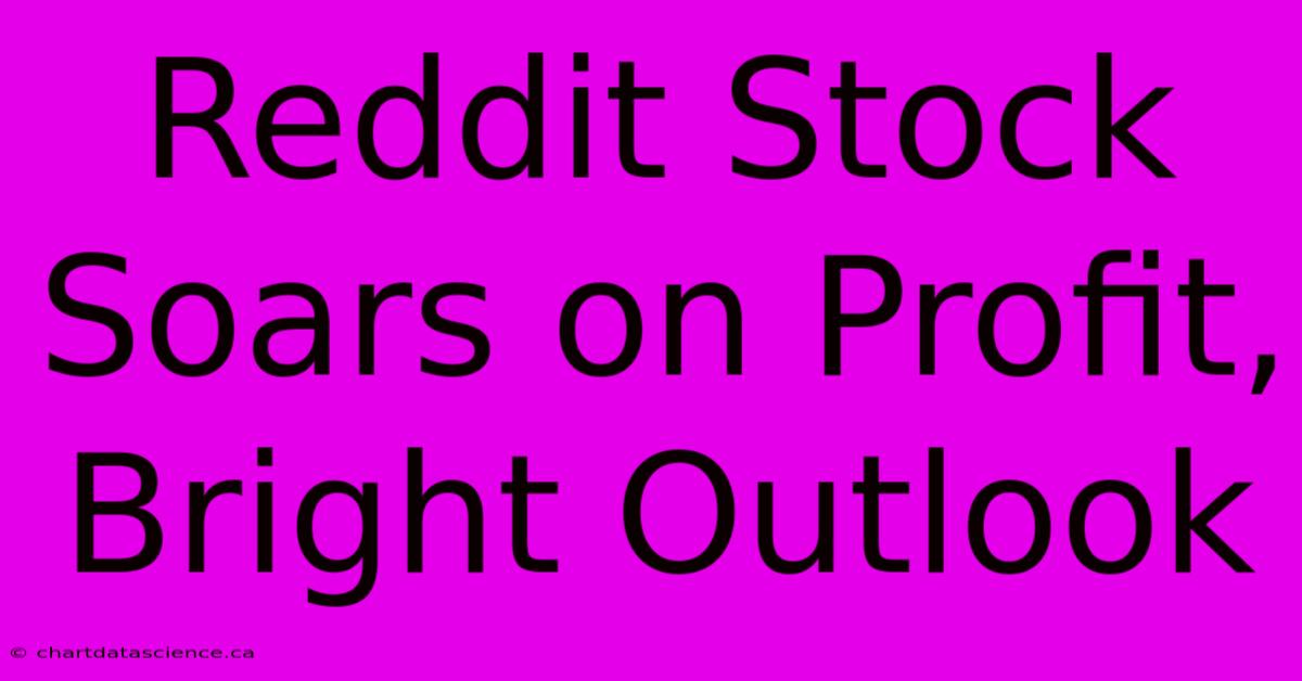 Reddit Stock Soars On Profit, Bright Outlook