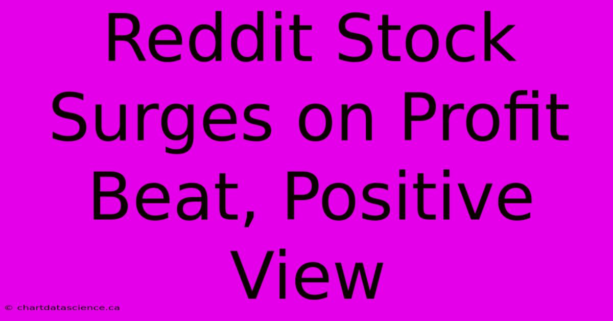 Reddit Stock Surges On Profit Beat, Positive View