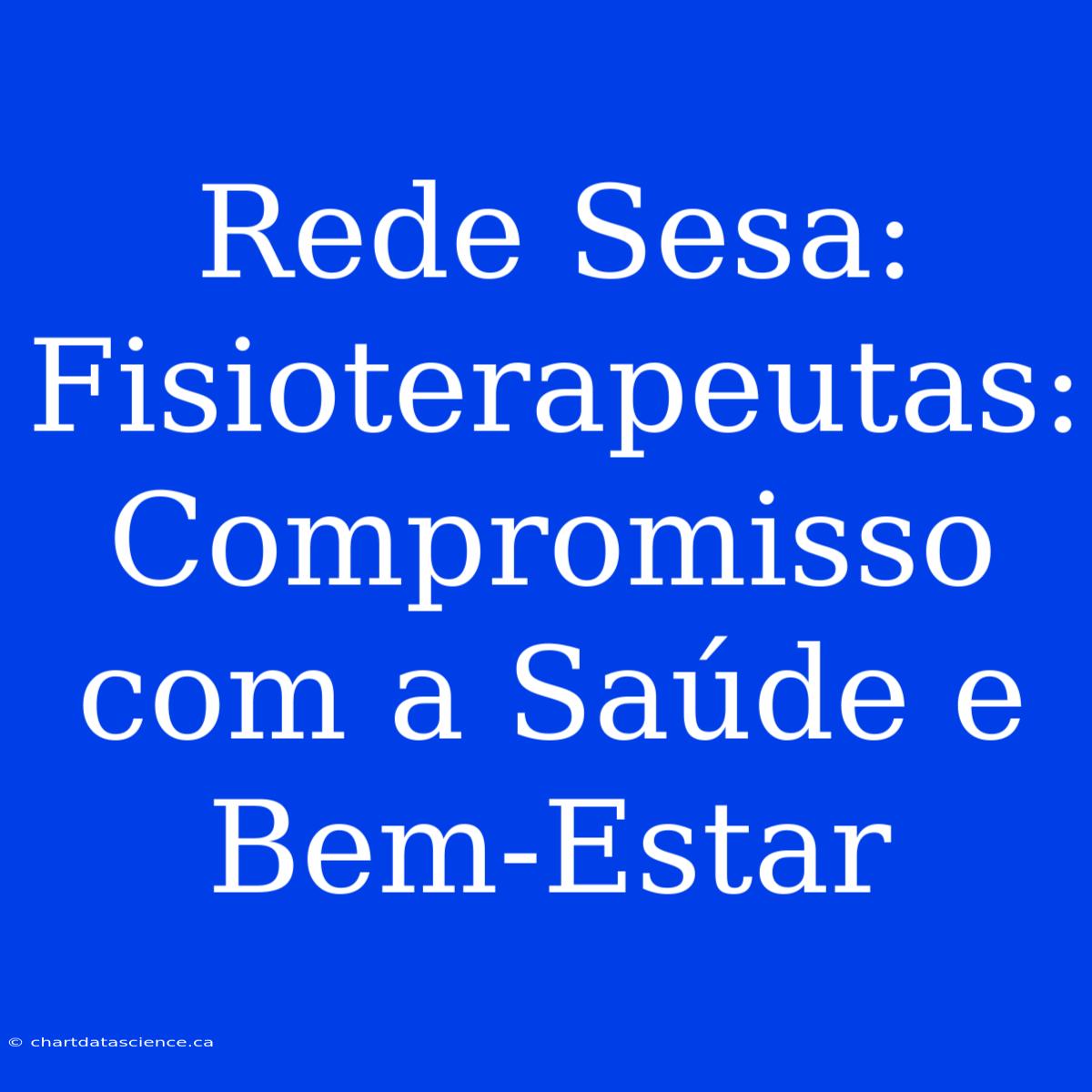 Rede Sesa: Fisioterapeutas: Compromisso Com A Saúde E Bem-Estar