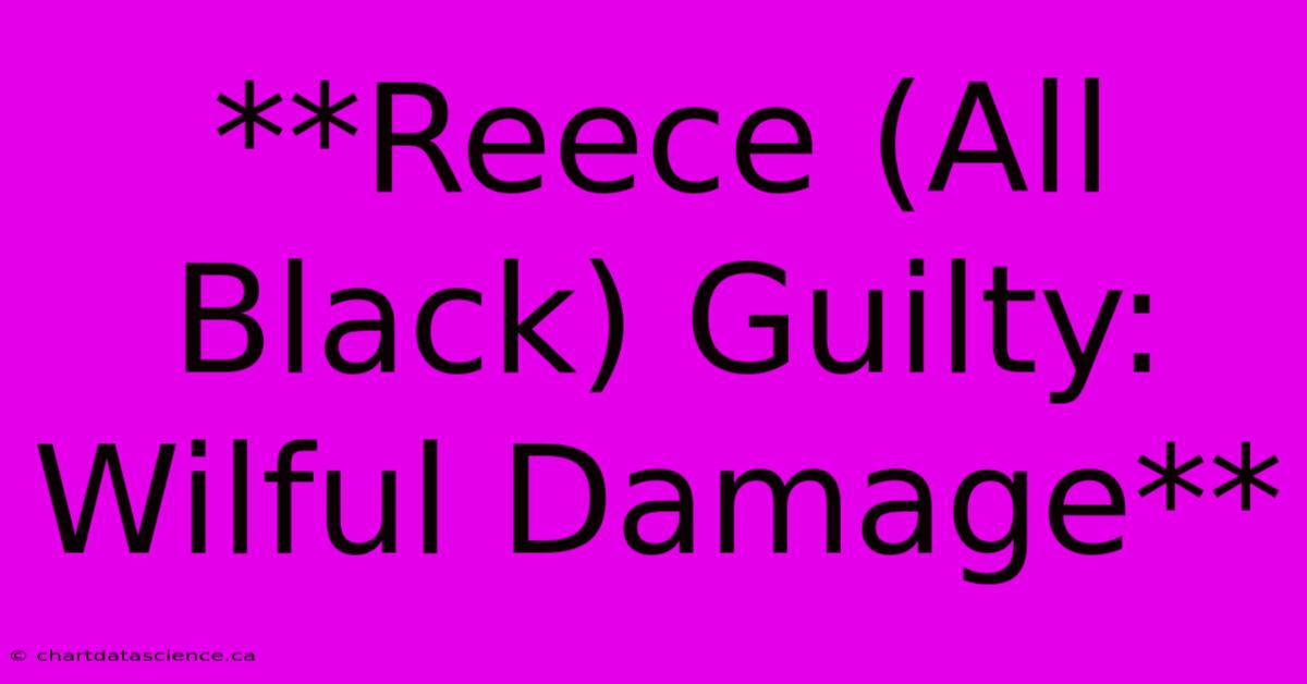 **Reece (All Black) Guilty: Wilful Damage**