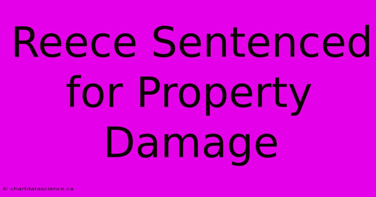 Reece Sentenced For Property Damage