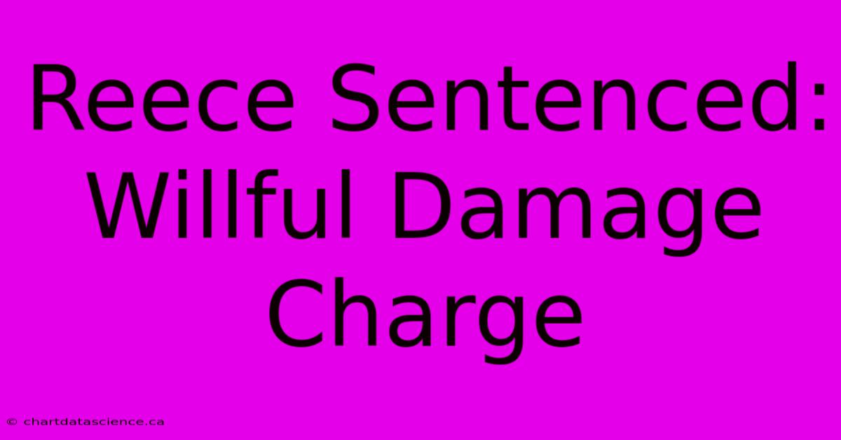 Reece Sentenced: Willful Damage Charge