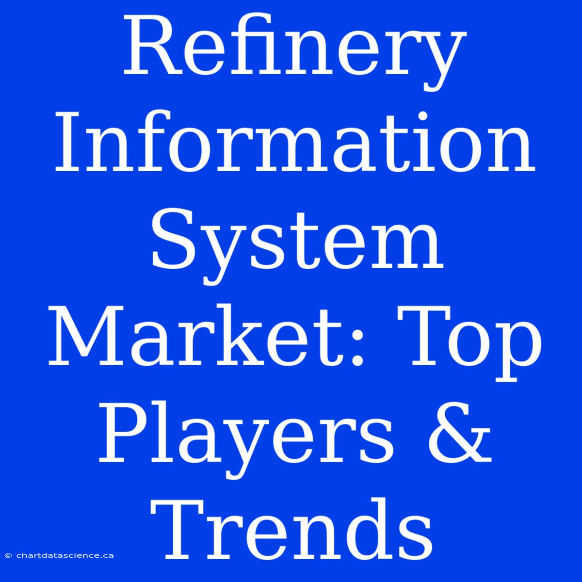 Refinery Information System Market: Top Players & Trends