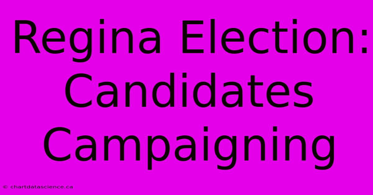 Regina Election: Candidates Campaigning