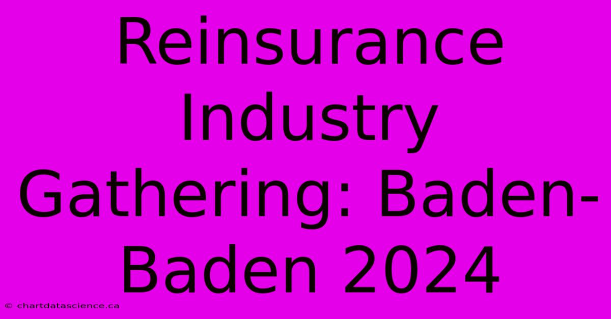 Reinsurance Industry Gathering: Baden-Baden 2024 