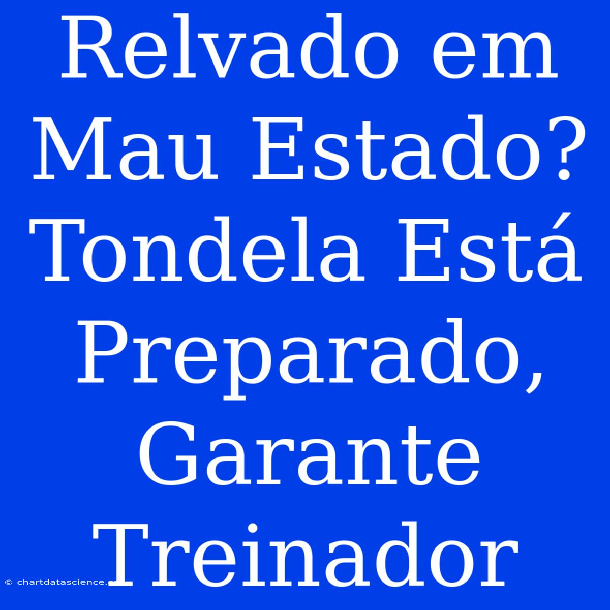 Relvado Em Mau Estado? Tondela Está Preparado, Garante Treinador