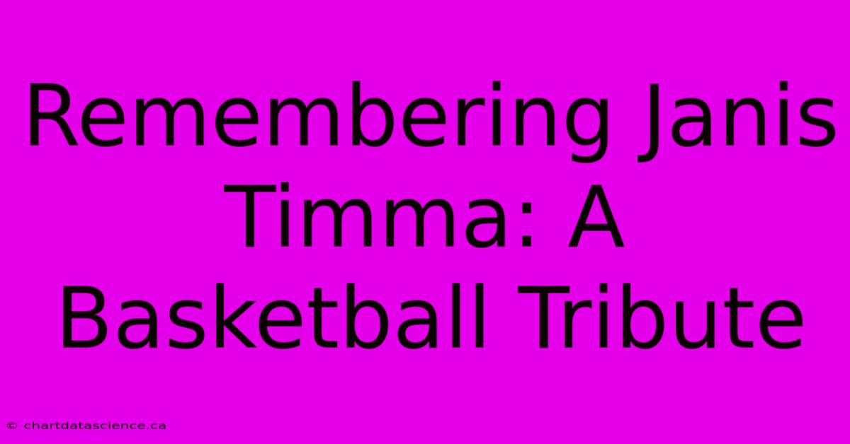 Remembering Janis Timma: A Basketball Tribute