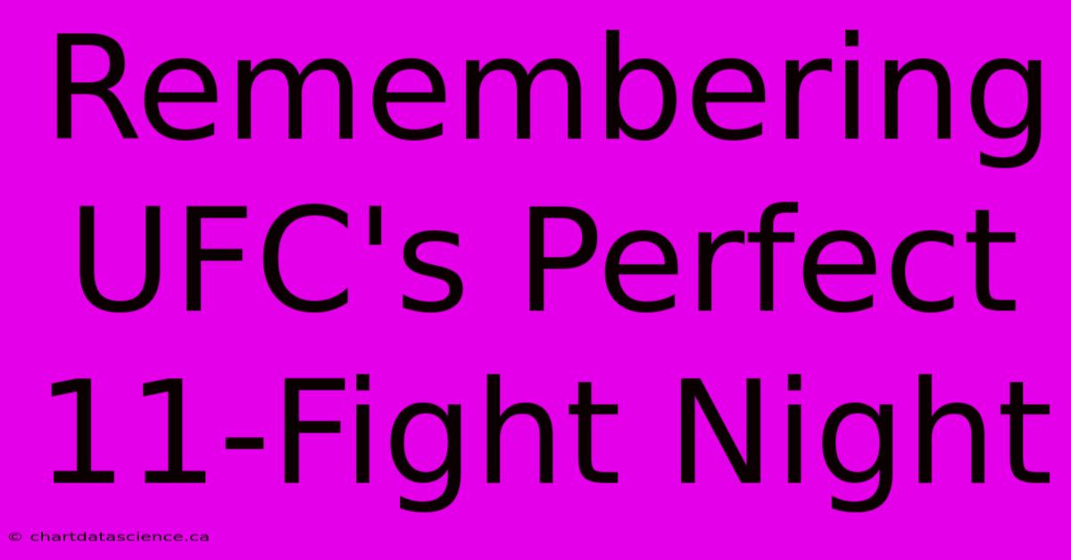 Remembering UFC's Perfect 11-Fight Night