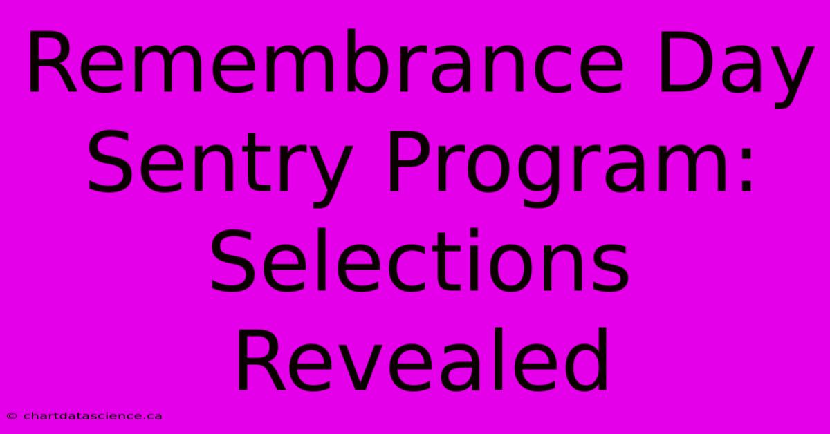 Remembrance Day Sentry Program: Selections Revealed 