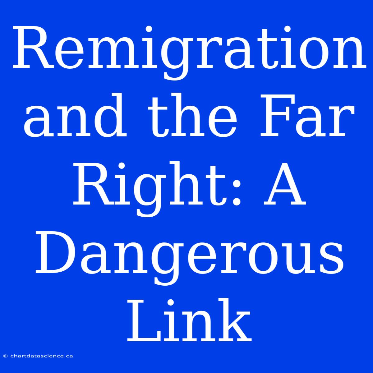 Remigration And The Far Right: A Dangerous Link