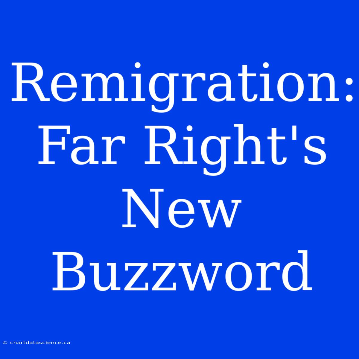 Remigration: Far Right's New Buzzword