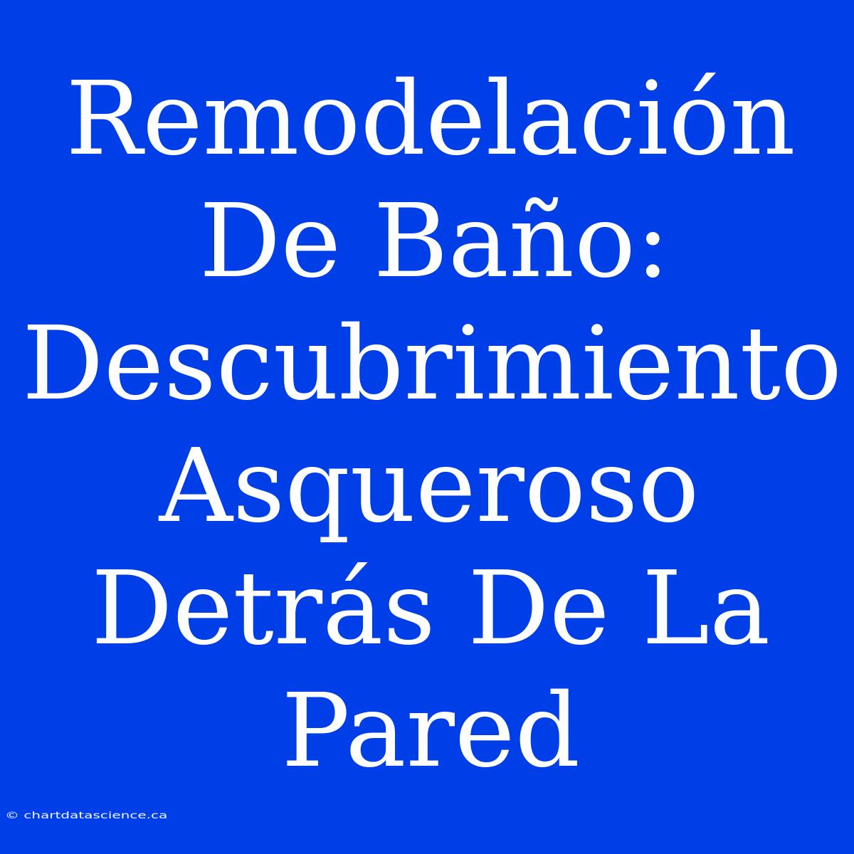 Remodelación De Baño: Descubrimiento Asqueroso Detrás De La Pared