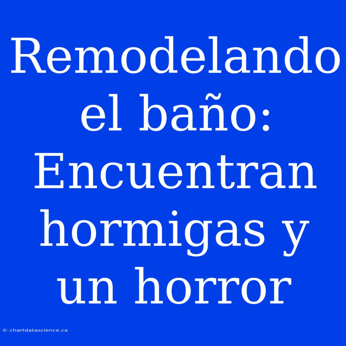 Remodelando El Baño: Encuentran Hormigas Y Un Horror