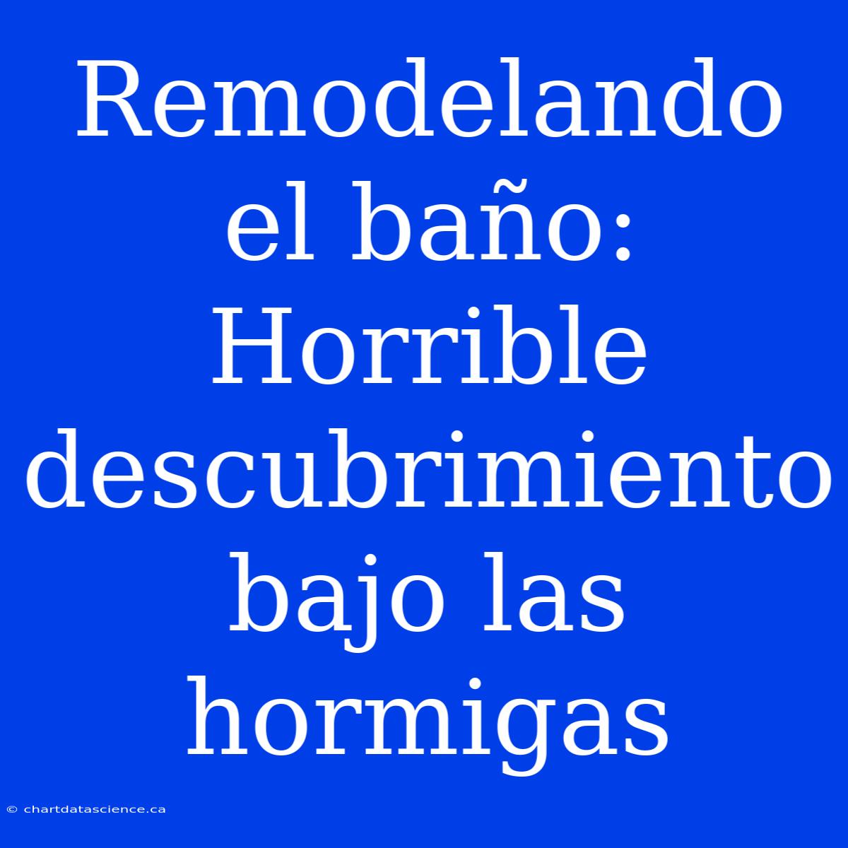 Remodelando El Baño: Horrible Descubrimiento Bajo Las Hormigas