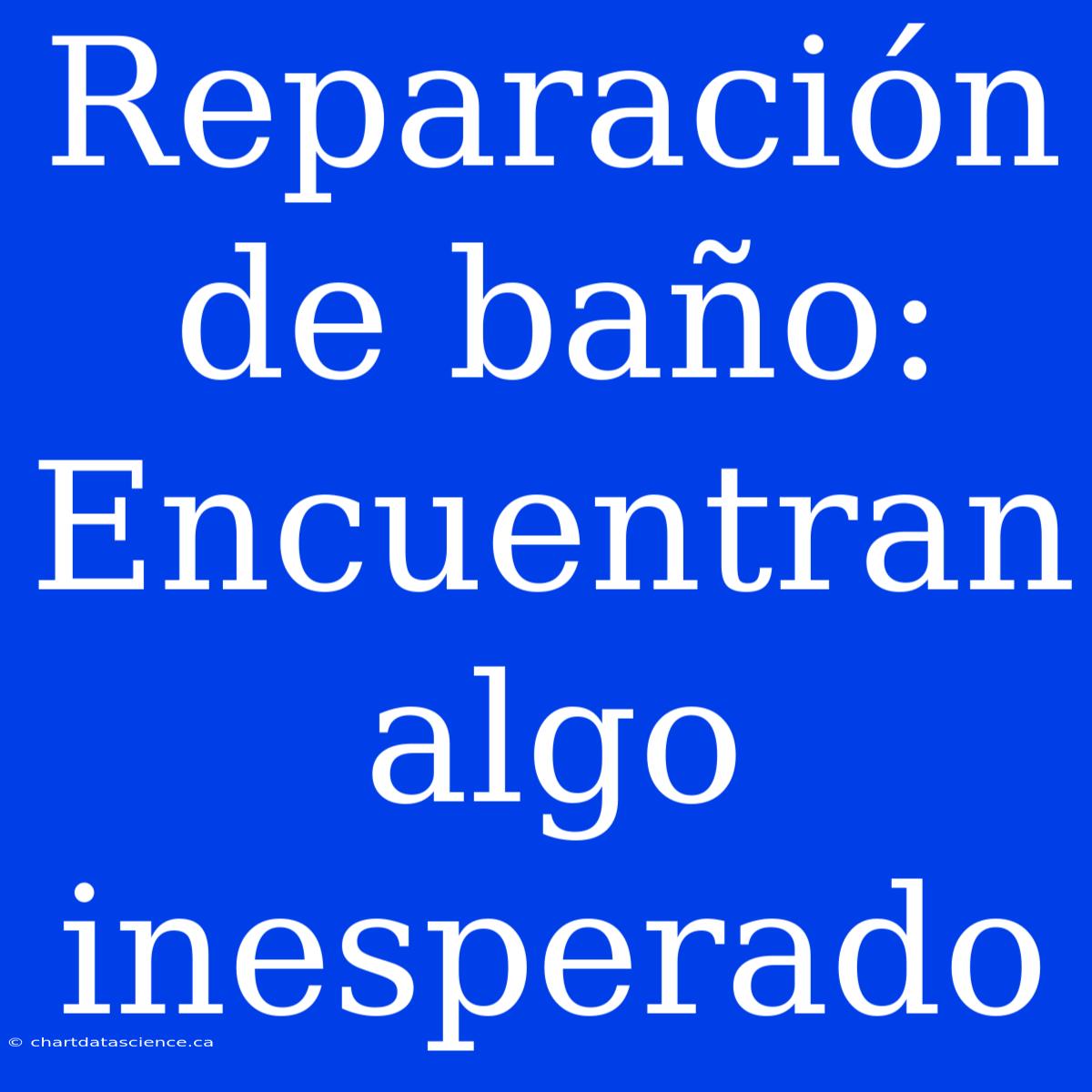 Reparación De Baño: Encuentran Algo Inesperado