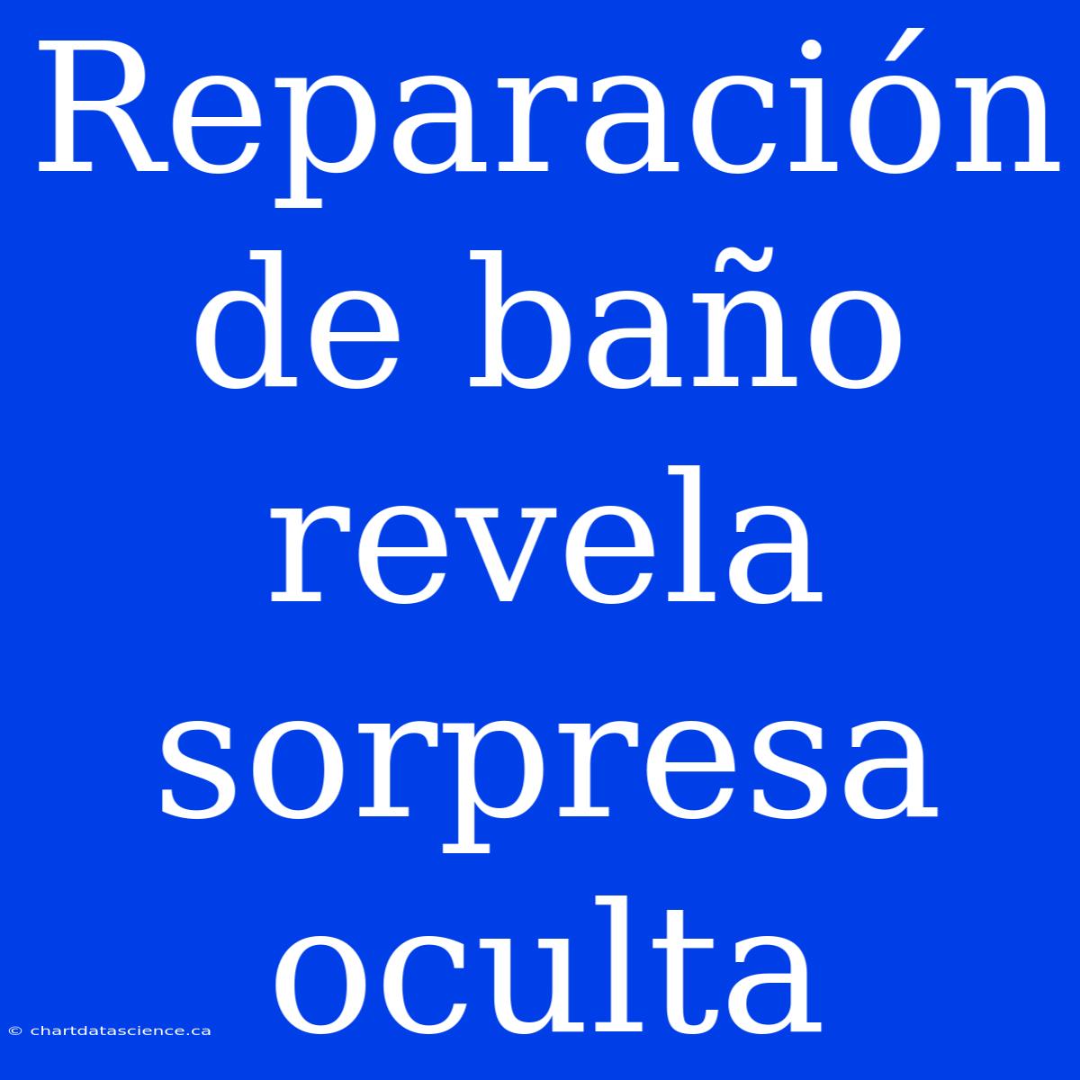 Reparación De Baño Revela Sorpresa Oculta