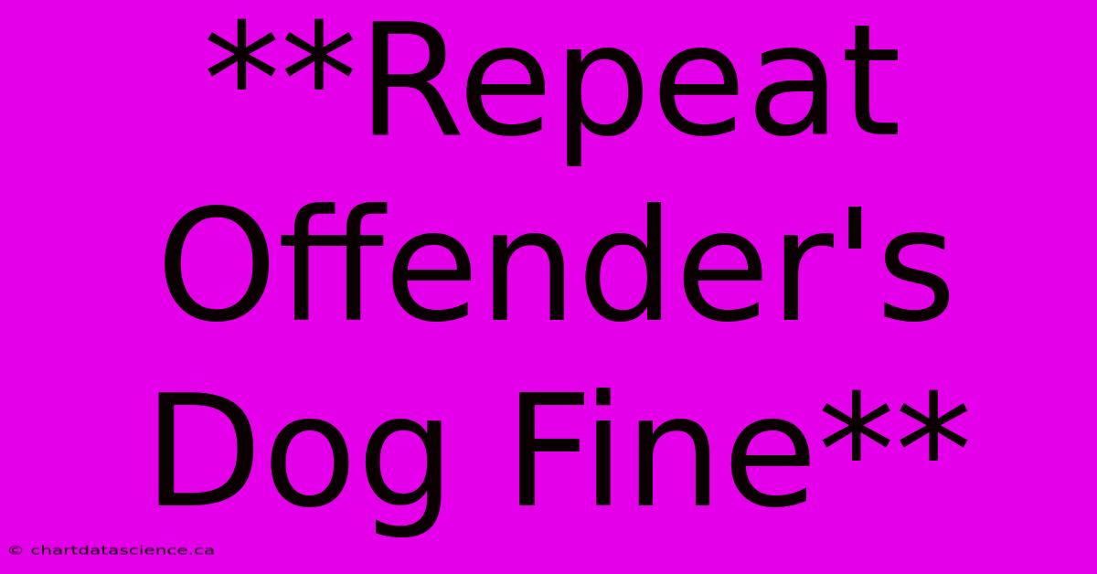 **Repeat Offender's Dog Fine**