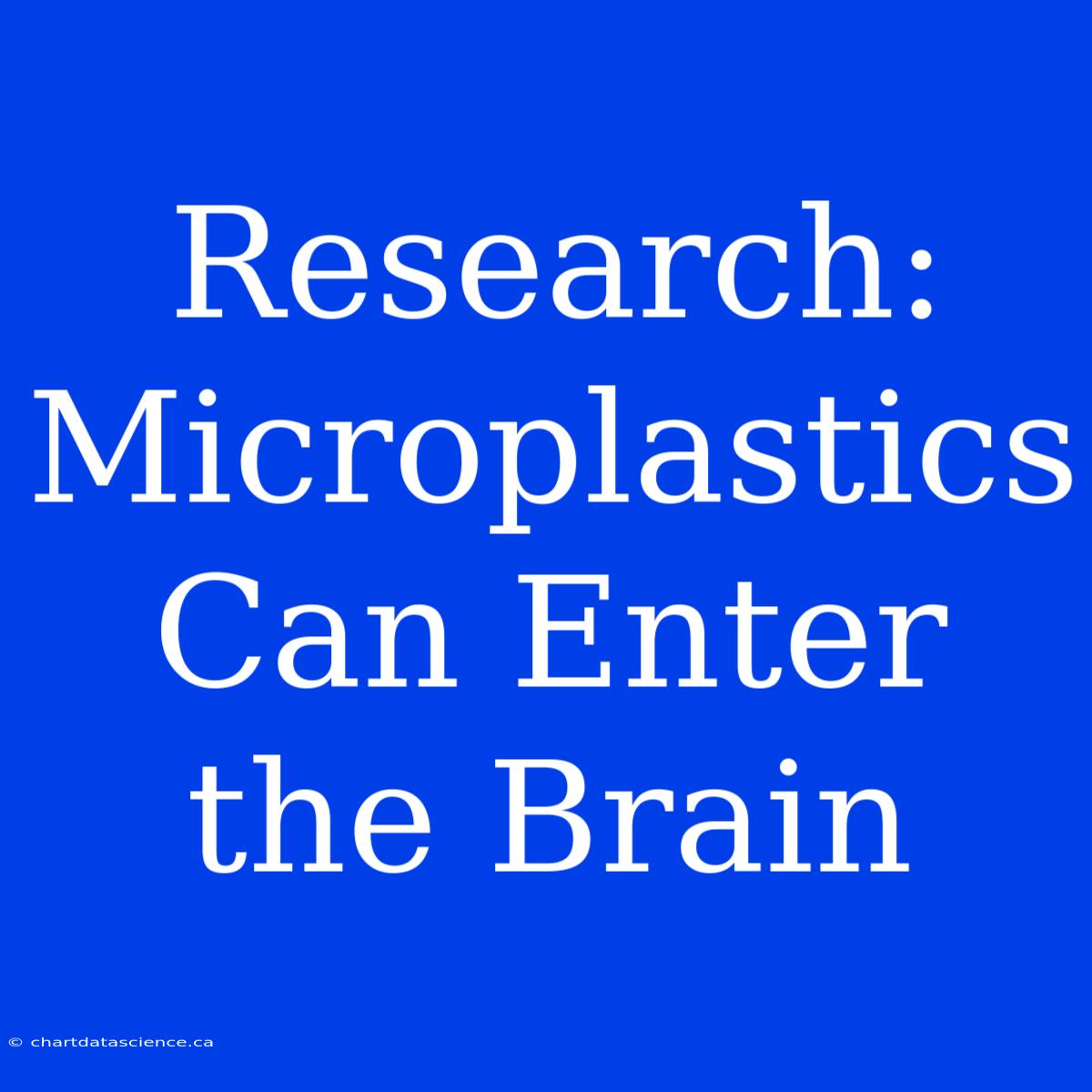 Research: Microplastics Can Enter The Brain