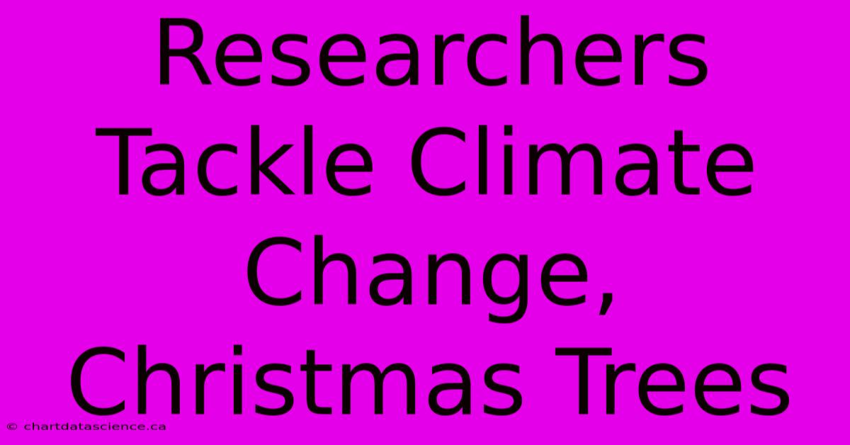 Researchers Tackle Climate Change, Christmas Trees