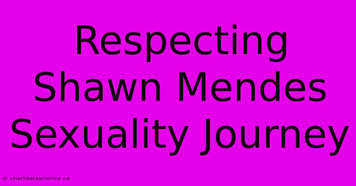 Respecting Shawn Mendes Sexuality Journey