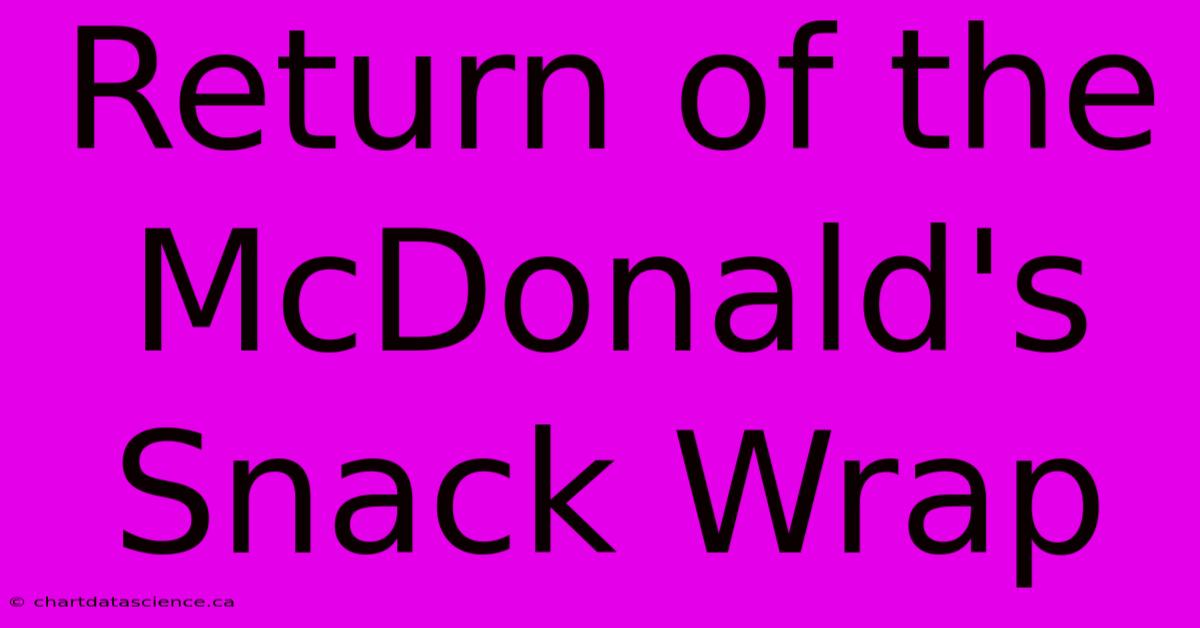 Return Of The McDonald's Snack Wrap