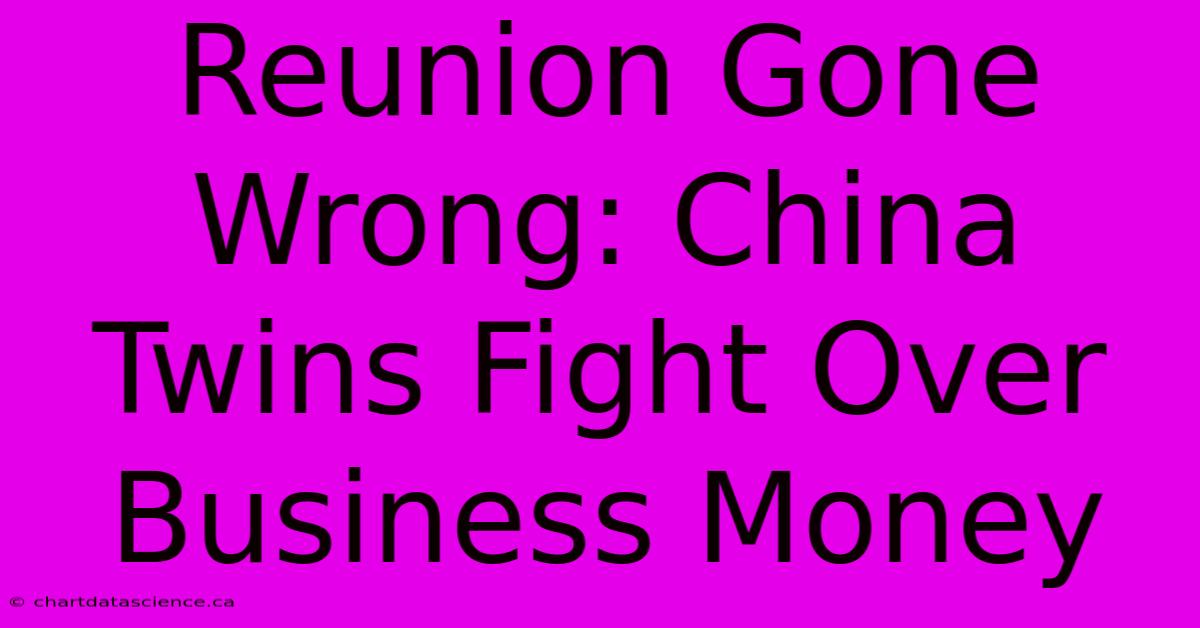 Reunion Gone Wrong: China Twins Fight Over Business Money 