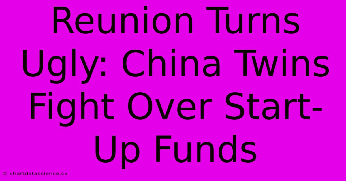 Reunion Turns Ugly: China Twins Fight Over Start-Up Funds