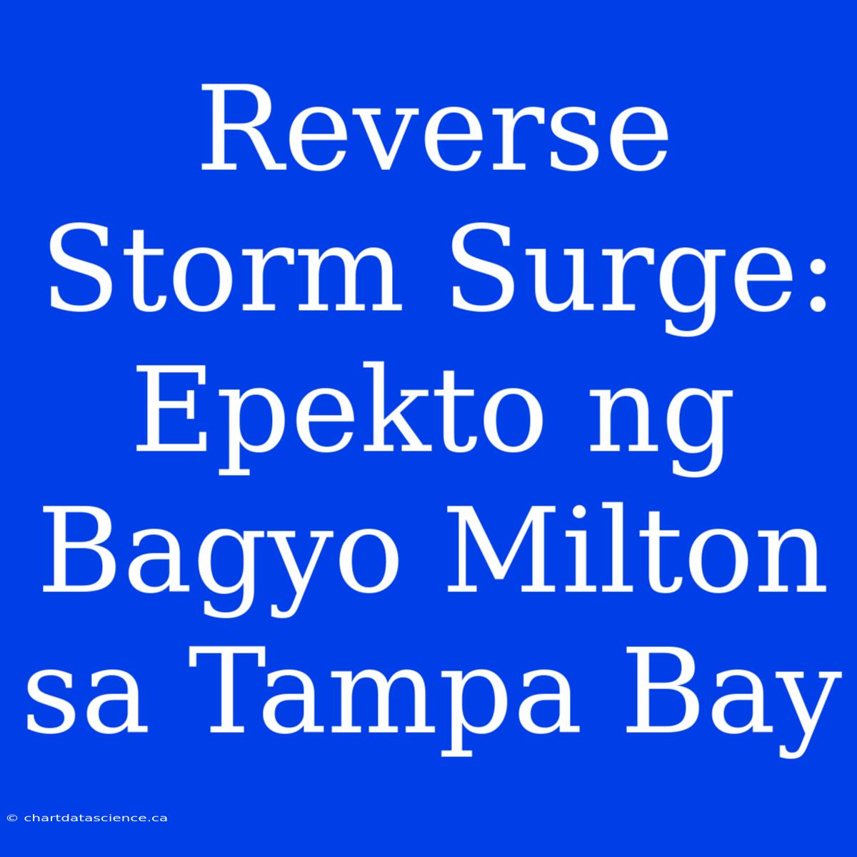 Reverse Storm Surge: Epekto Ng Bagyo Milton Sa Tampa Bay