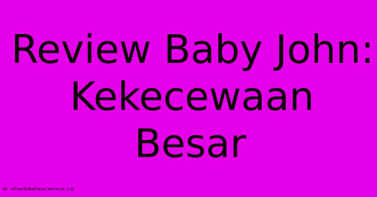 Review Baby John: Kekecewaan Besar