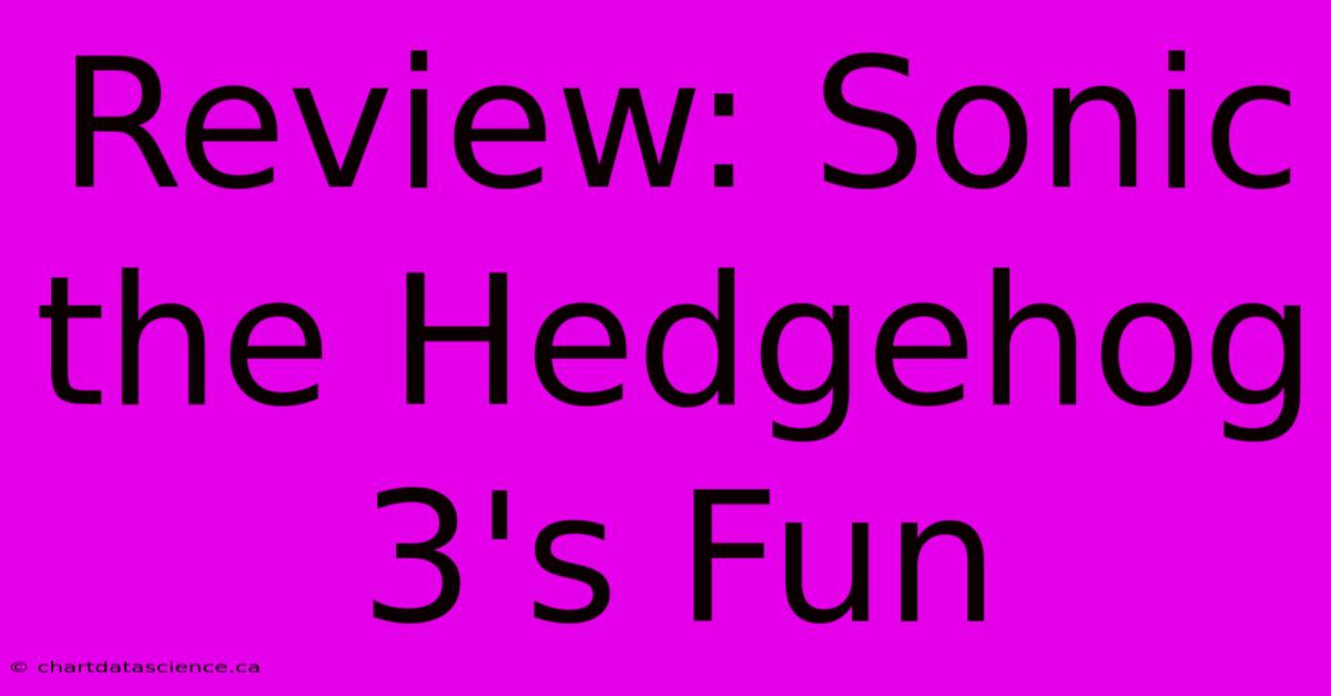 Review: Sonic The Hedgehog 3's Fun