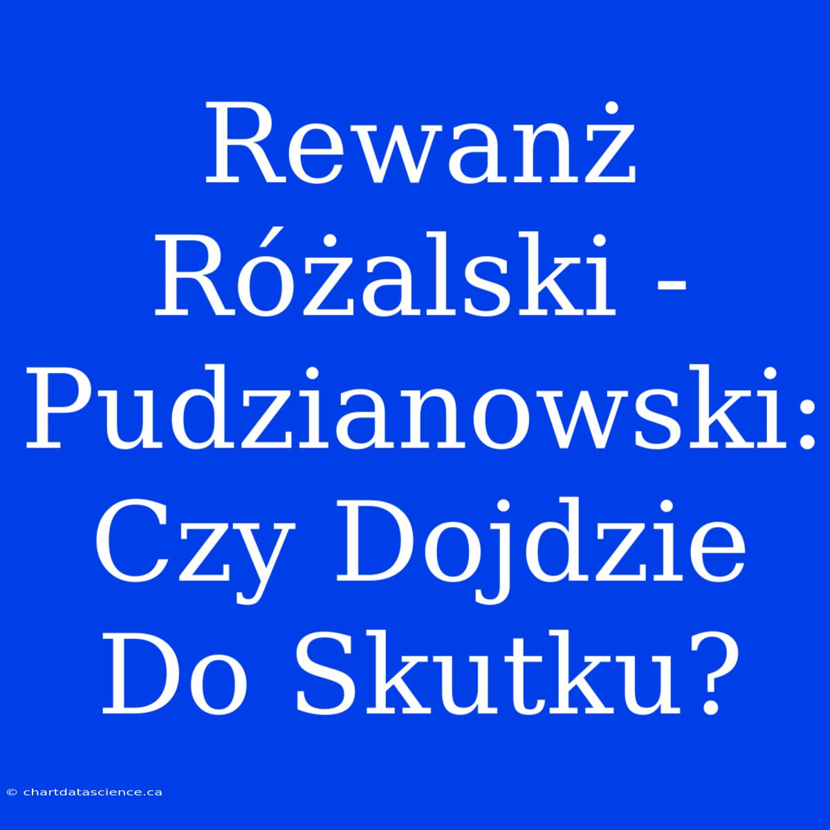 Rewanż Różalski - Pudzianowski: Czy Dojdzie Do Skutku?