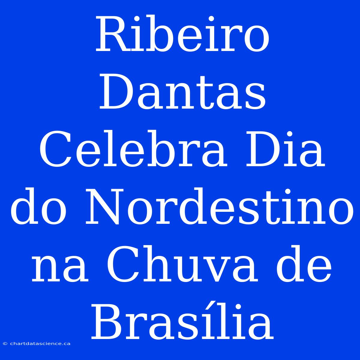 Ribeiro Dantas Celebra Dia Do Nordestino Na Chuva De Brasília