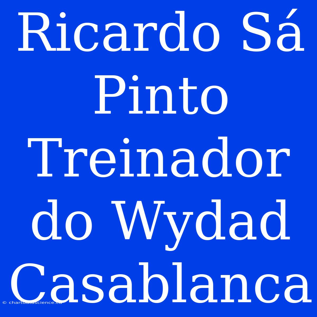 Ricardo Sá Pinto Treinador Do Wydad Casablanca