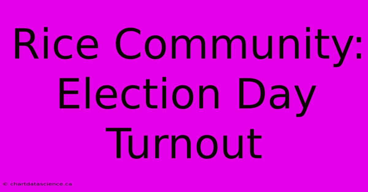 Rice Community: Election Day Turnout 