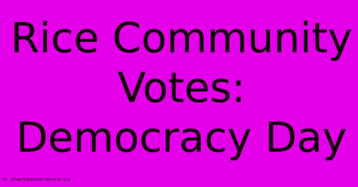 Rice Community Votes: Democracy Day