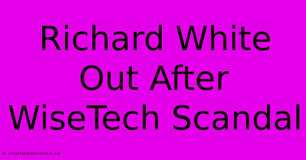 Richard White Out After WiseTech Scandal 