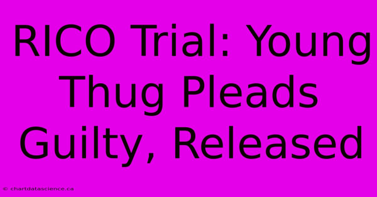 RICO Trial: Young Thug Pleads Guilty, Released