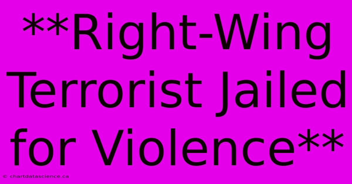 **Right-Wing Terrorist Jailed For Violence**