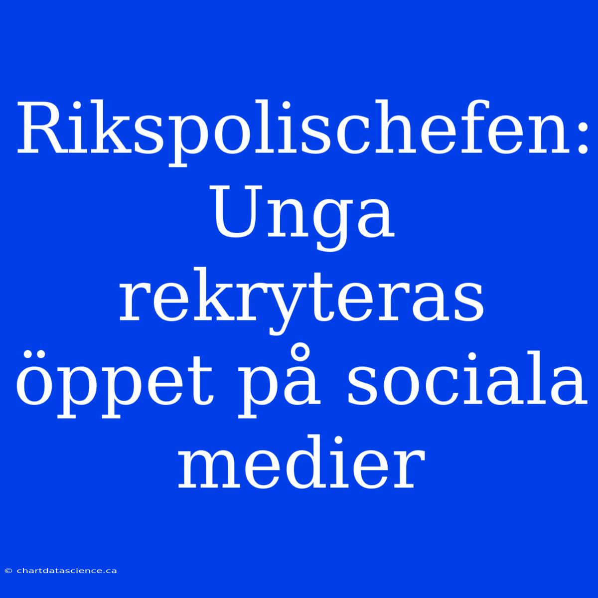 Rikspolischefen: Unga Rekryteras Öppet På Sociala Medier