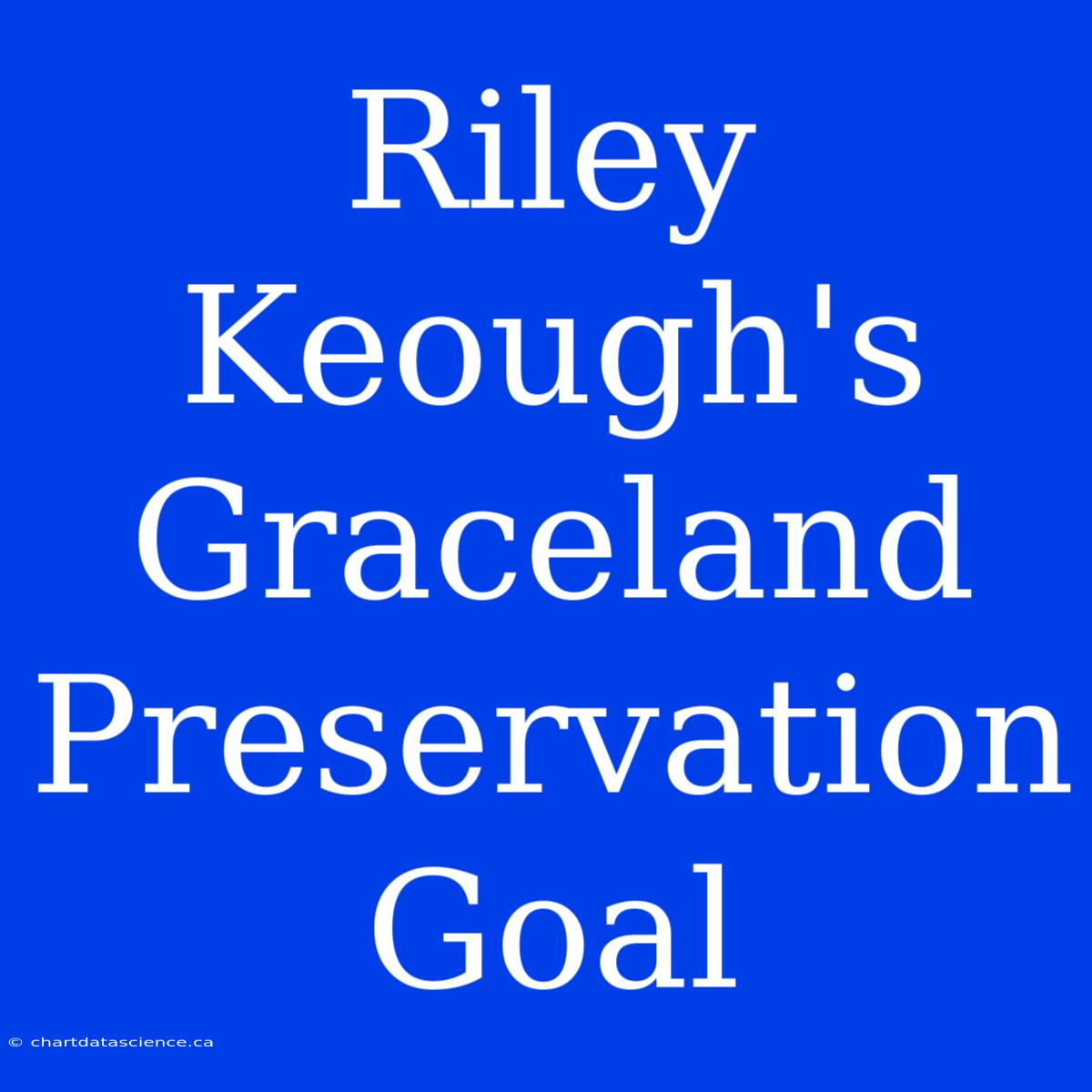 Riley Keough's Graceland Preservation Goal