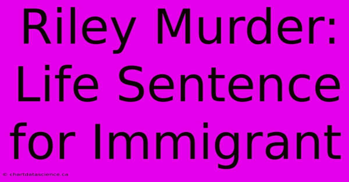 Riley Murder: Life Sentence For Immigrant