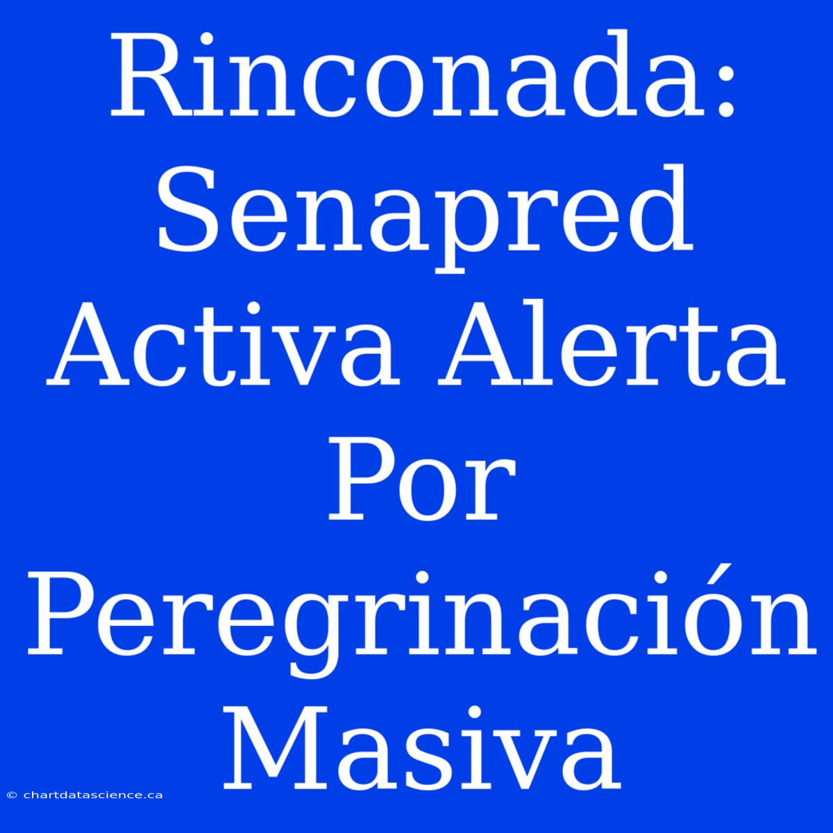 Rinconada: Senapred Activa Alerta Por Peregrinación Masiva