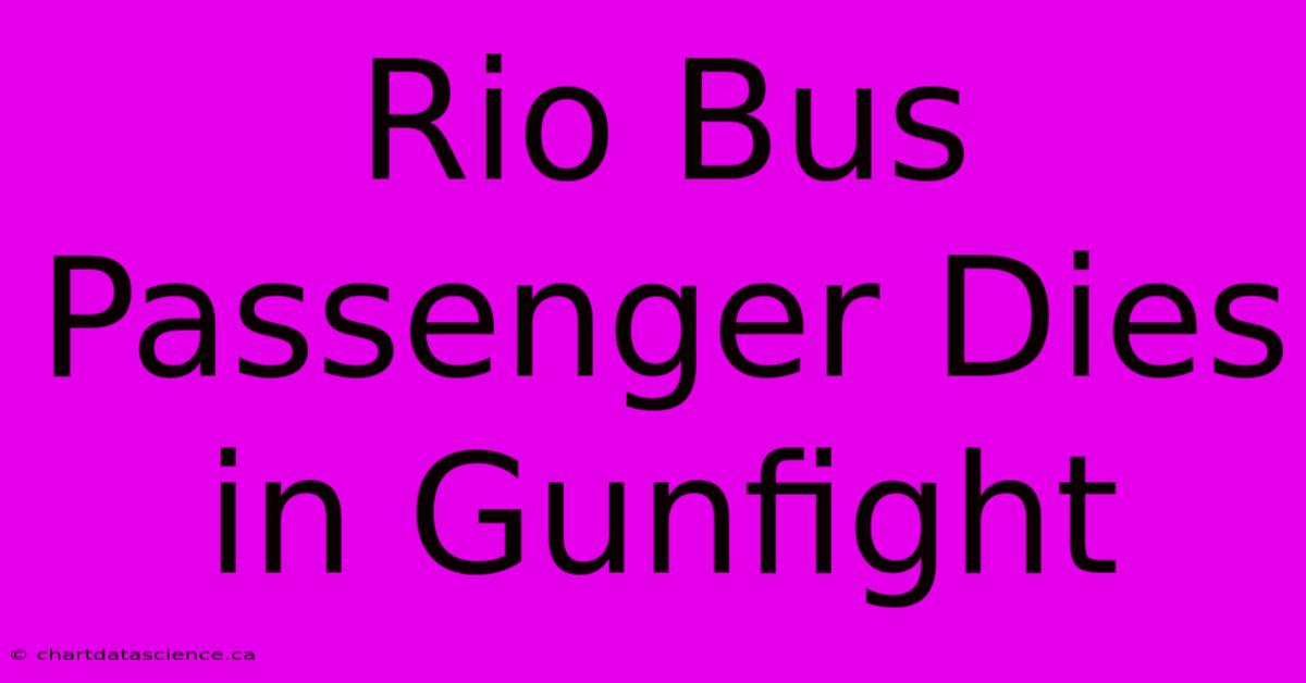 Rio Bus Passenger Dies In Gunfight