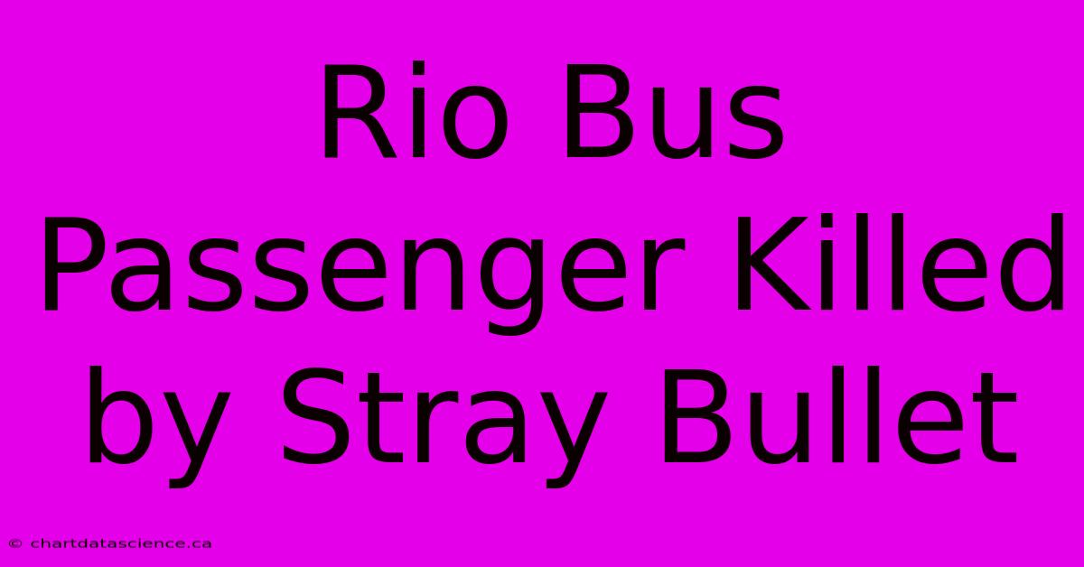 Rio Bus Passenger Killed By Stray Bullet