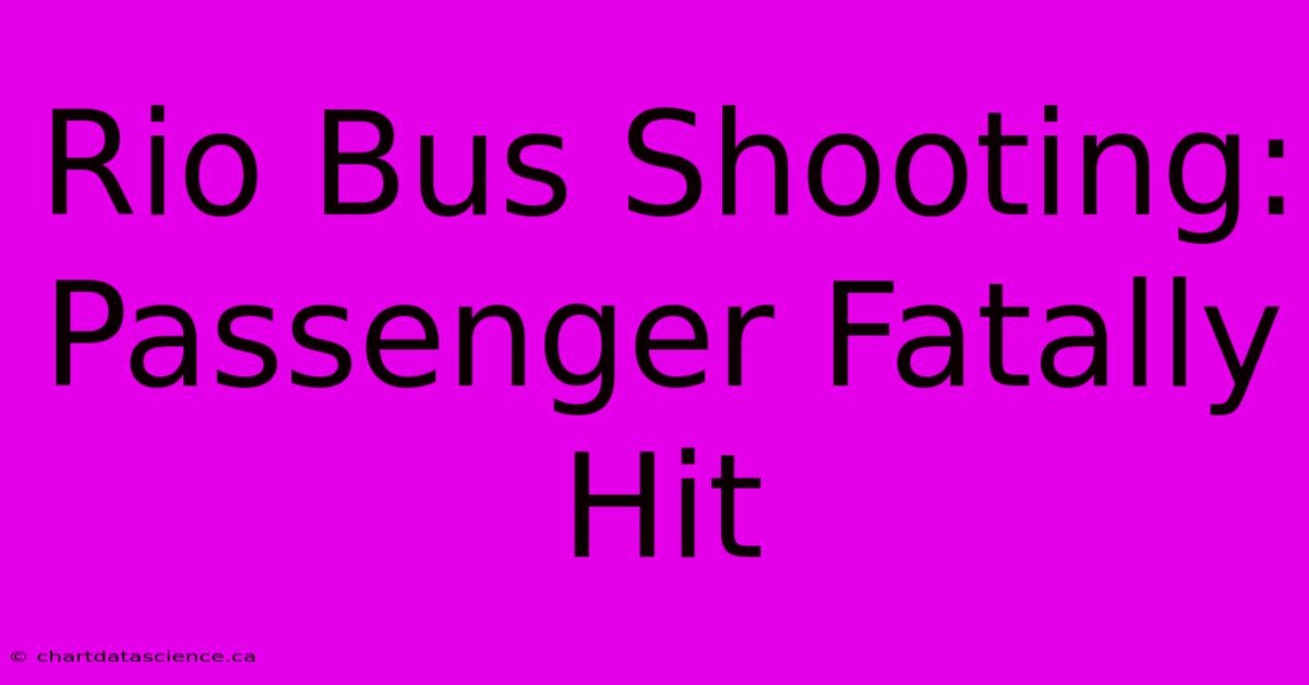 Rio Bus Shooting: Passenger Fatally Hit