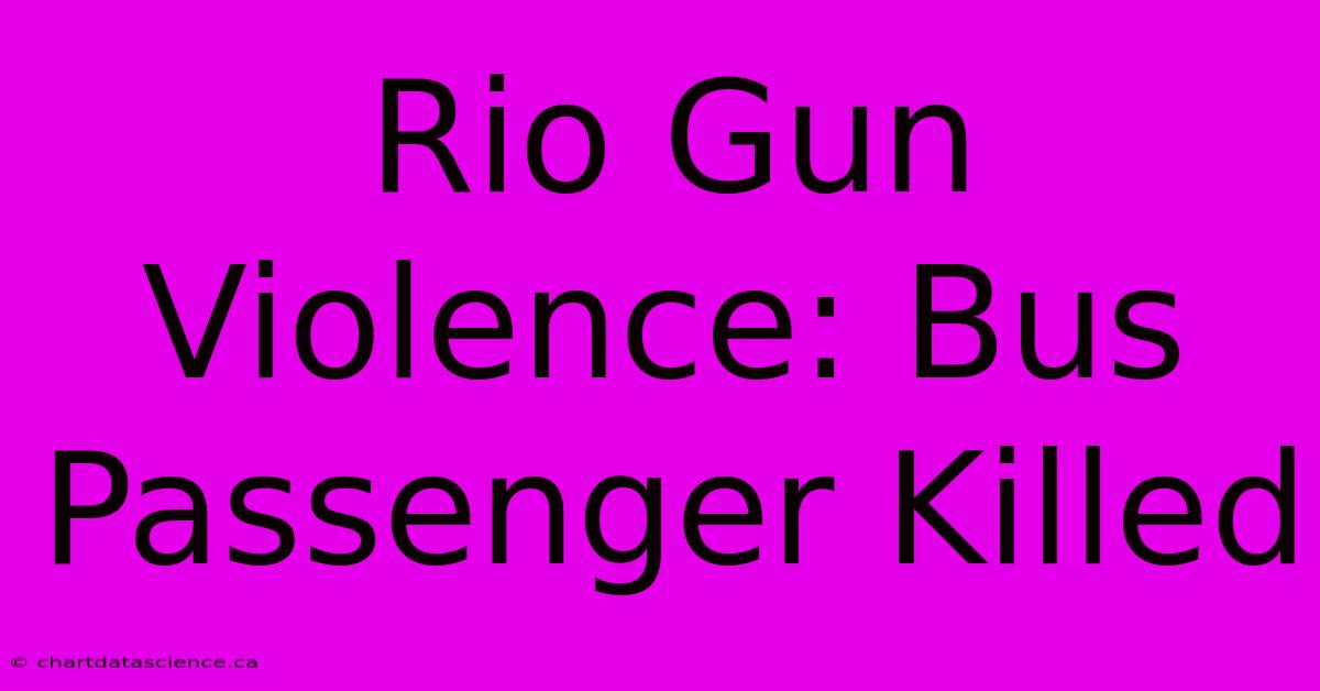 Rio Gun Violence: Bus Passenger Killed